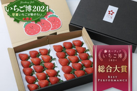 ☆2箱セット【いちご博2024 総合大賞】新鮮完熟やよいひめ（約800g）×2箱