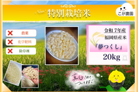 お一人様1つ限定　準自然米　福岡県産「元気つくし」令和6年産　玄米10kg 準自然米 大好評の福岡県産「元気つくし」令和6年産 玄米10kg