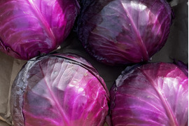 色にうっとり🌙オーガニック ムラサキキャベツ 8kg Organic Purple Cabbage