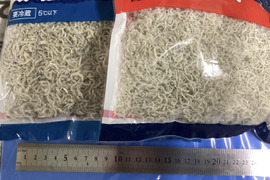 【すぐ出荷】ちりめん山椒の季節 小さめちりめん500g 賞味期限60日同梱複数買い8袋まで送料同じ