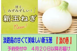淡路産 新玉葱 ５Kg 箱入り　　サラダで美味しい
