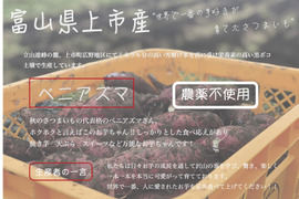 農薬不使用　紅アズマ　10キロ　訳あり　サイズS~3L