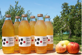 【無添加】特別栽培りんごジュース1ℓ×6本 ふじ🍎彩香 2種類3本ずつ ノンフィルター100%ストレート果汁　お届け希望日・熨斗対応可能✨