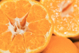 【甘味と酸味のバランスが絶妙】ポンカン 8kg 愛媛県産 家庭用 ぽんかん