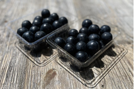 信州産長野パープル ナガノパープルの通販｜ぶどう｜食べチョク｜産地直送(産直)お