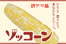 【訳アリ】美味しいと判断したものだけをお届け バイカラーの
トウモロコシ (8本)