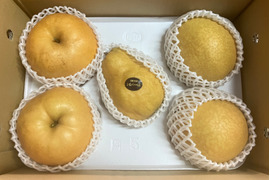 【福袋】【冬ギフト】鳥取県産 冬の和梨・洋梨食べ比べセット（王秋・あたご・シルバーベル 4kg）