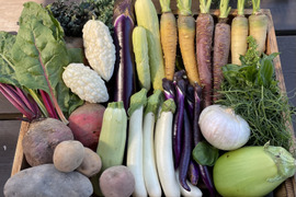 暮らしにそっと彩りvegeセット（7-8種類）