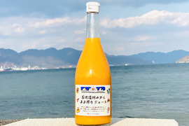 石地温州みかん まる搾りジュース（720ml×6本)