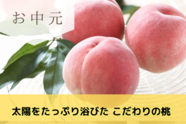 【お中元】【予約販売】山梨桃専業農家が暑い夏を届けます!　食べチョク桃　3kg