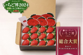 【いちご博2024総合大賞】新鮮完熟やよいひめ（約400g）