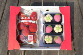 あまおう上生菓子セット