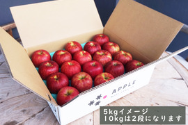 特選🍎贈り物にも！酸味はマイルドで甘い「つがる」10kg　低農薬で安心！