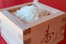 ’23年産新米　冷たく透き通った水で育った「郡上のコシヒカリ」(白米15kg)