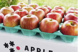 完売御礼🍎未希ライフ🍎5kg みずみずしい夏りんご✨低農薬で皮ごと安心！希少品種 旬 キズなし良品🎁特別栽培認証