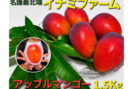 マンゴーの通販｜果物｜食べチョク｜産地直送(産直)お取り寄せ通販