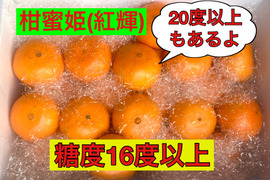 【冬ギフト】絶品！高級品種！　美味しさ間違いなし津之輝(S・M) 2.2kg