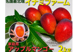 ★2026年予約開始★≪家庭用≫名護市最北端 イナミファームの家庭で楽しむ アップルマンゴー  ２ｋg