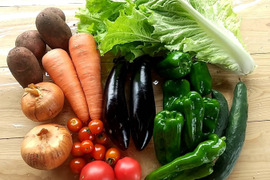 【未来をつくる笑み野菜】宮崎県産☆季節のお野菜セットS(7～8品目程度)【初回限定BOX】