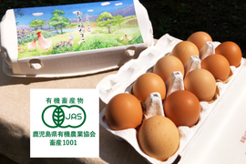 【お歳暮】オーガニック卵「お多福たまご」10個入（有機JAS認定の放し飼い卵）