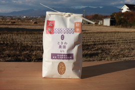 【令和7年産】農薬・化学肥料不使用　長野県産もち米【玄米10kg】