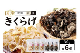 徳島県産乾燥きくらげ白黒30g×6