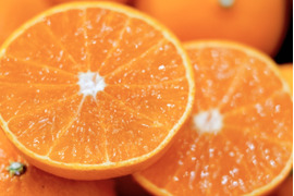 【新品種】甘平×まどんな【紅プリンセスと同品種】家庭用 5kg【愛果48号】