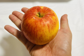 【今年から販売開始🍎】江刺ロマン 3キロ箱 6玉〜15玉サイズ 商品ID11618 長野県 信州 安曇野 リンゴ 幻 幻のリンゴ 予約 希少 旬 えさしロマン