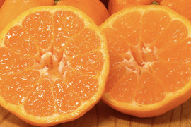 【数量限定】西南のひかり5kg  〜とろける甘さと、溢れる果汁の贅沢〜