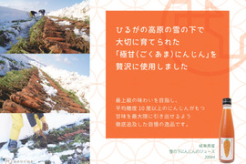 【糖度10度超え】雪の中で眠り、甘みが極まった「雪の下にんじん」100％ジュース 720ml×12本