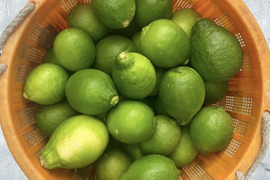 【OUTTAKES】訳あり 璃の香グリーンレモン 1kg 愛媛県産【防腐剤・ワックス不使用】
