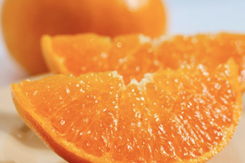 【訳ありだけど美味しさそのまま】せとか 2kg 愛媛県産