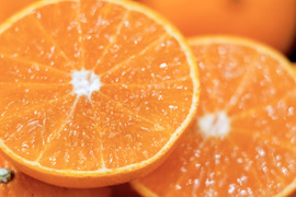 【ゼリーのようなプルプル食感】まどんな 1.5kg【家庭用】【冬ギフト】