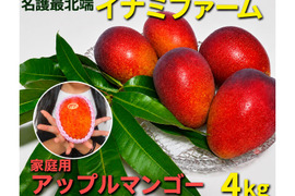 ★2026年予約開始★≪家庭用≫名護市最北端 イナミファームの家庭で楽しむ アップルマンゴー  ２ｋg×２箱セット