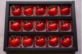 【予約2024年6月下旬〜】やまがた紅王🍒さくらんぼ新品種！特秀チョコ箱15粒入