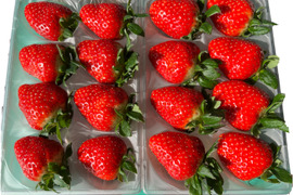 甘さと香りに惚れる朝摘み「古都華」４L 270g(８粒)×2P