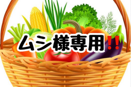【ムシ様専用】野菜セット