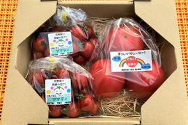 【父の日ギフトにも】食べ比べ！アマティ・とらいとまとセット　250g×2　500g×1