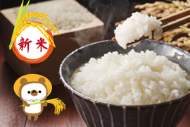 当日発送!! 新米8キロ袋 ◆令和3年一等米◆ 品種「にこまる」 玄米 ☀晴れの国 岡山☀ #お米好きにはたまらない #もらって嬉しいお米 #お宝米 #一級品 #お米の虜 #ギリギリ価格
