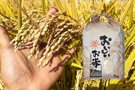 当日発送!! 新米4キロ ◆令和3年一等米◆ 品種「にこまる」 ☀晴れの国 岡山☀ #お米好きにはたまらない #もらって嬉しいお米 #お宝米 #一級品 #お米の虜 #ギリギリ価格