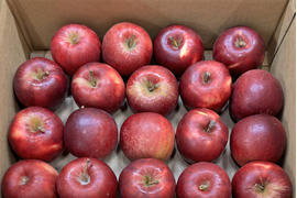 【加工用バラ詰め】小玉の紅玉!! スイーツ、お菓子、加工用・業務用🍎約2.7Kg青森県産