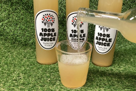 果汁たっぷりなサンふじを使用した100%ジュース ３本セット
J-3