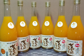 【昔も今も変わらない美味しさ】がんちゃん　温州ミカン完熟贅沢絞りジュース720㎖の6本セット