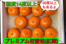 【冬ギフト】絶品！高級品種！　美味しさ間違いなし津之輝（L・2L)2kg