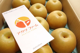 ［お客様感謝価格‼ 9/4までの販売］わけあり　豊水梨　約5㎏（８～16個入り）