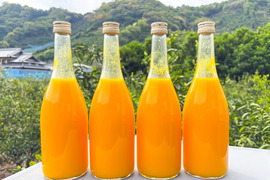 《ラベルレス・4本入り》のうろくジュース◆オレンジ感たっぷり！濃厚な味わいを楽しめます！◆添加物・保存料不使用！