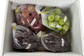 いろいろ食べられる！おまかせミックスぶどう『福島のブドウ』2kg（3~5房）【贈答用】