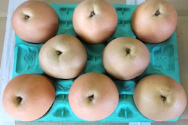 にっこり  3kg　4Lサイズ(8玉入り)