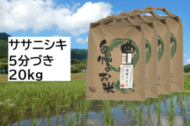 【新米・2026年産】自然栽培米『ササニシキ』5分づき20kg