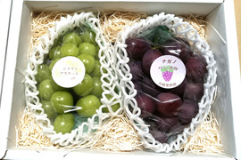 💫彩り鮮やかぶどう2房《シャインマスカット&ナガノパープル》《季節のギフトに最適》【高級化粧箱入り·計1,1kg程】【北九州市ふるさと納税返礼品にも出品中】